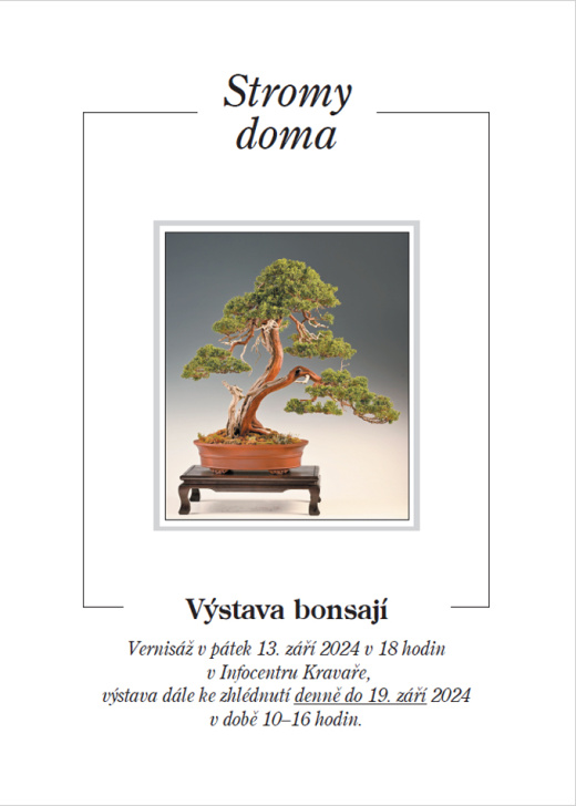 výstava bonsaje