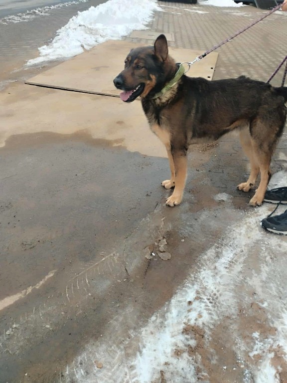 PHOTO-2026-02-03-15-25-05